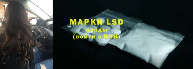 хмурый Алзамай