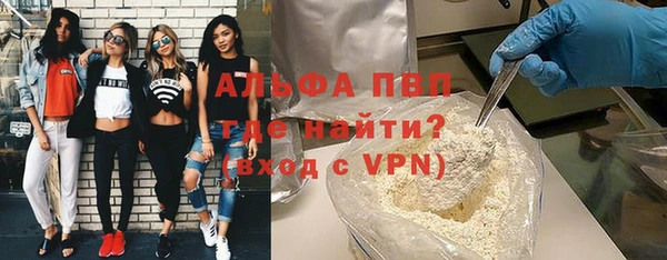 гидра Покачи