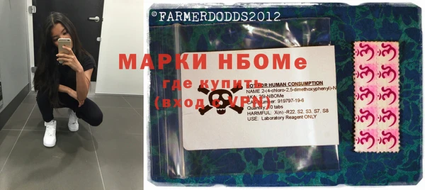 хмурый Алзамай